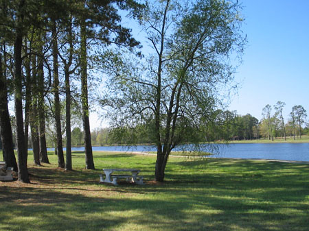 Lake Mercer and Walking Trail3